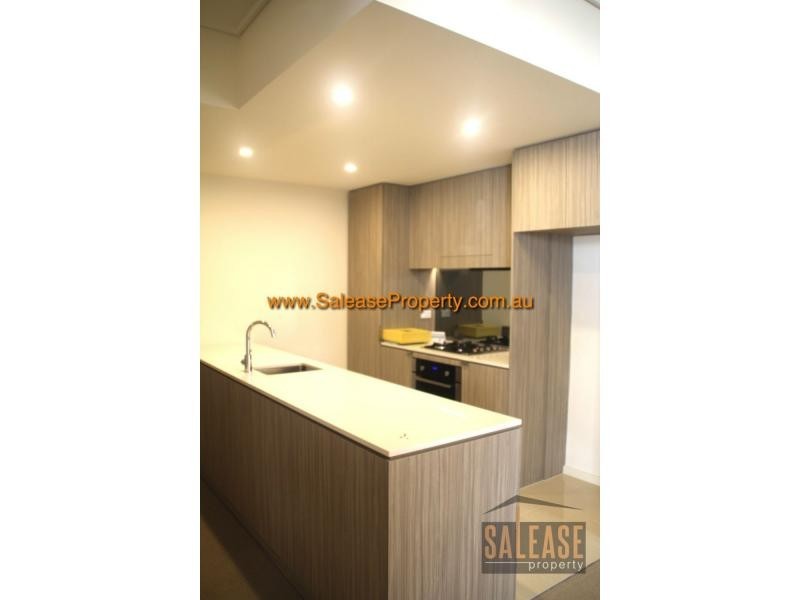 Unit 423/7 Washington Avenue, Riverwood NSW 2210