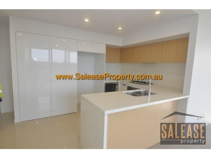 Unit N305/2 Lardelli Drive, Ryde NSW 2112