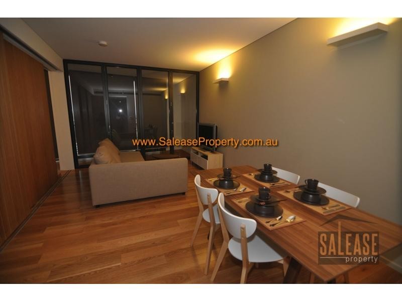 Unit E2507/3 Carlton Avenue, Central Park, Chippendale NSW 2008