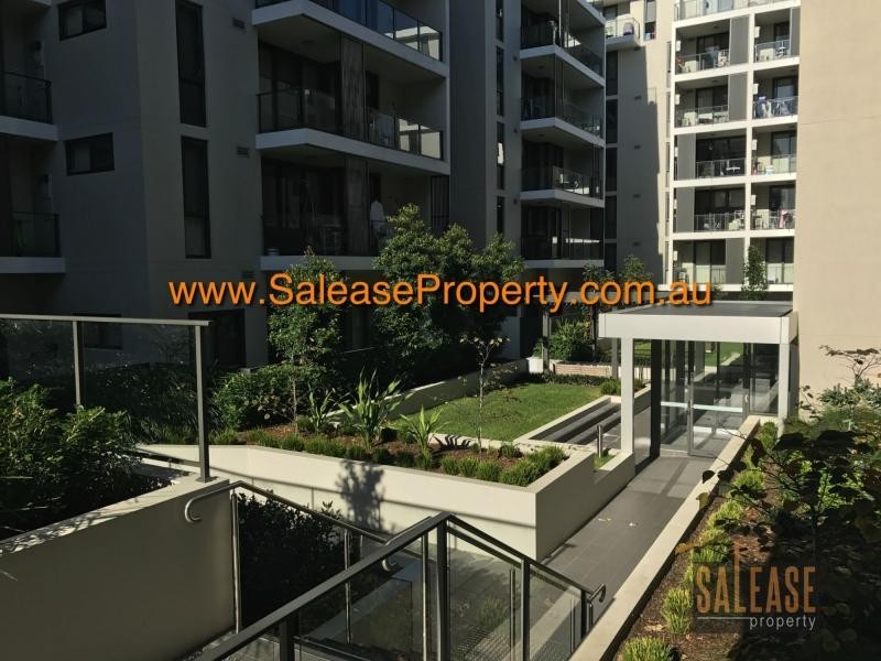 6207/9 Angas Street, Meadowbank NSW 2114