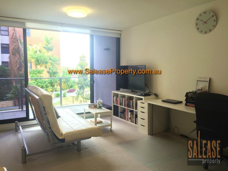 538/14B Anthony Road, West Ryde NSW 2114