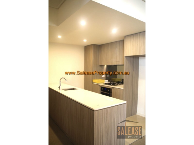 323/7 Washington Avenue, Riverwood NSW 2210