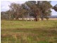 1051 Warby Range Road, Wangaratta VIC 3677