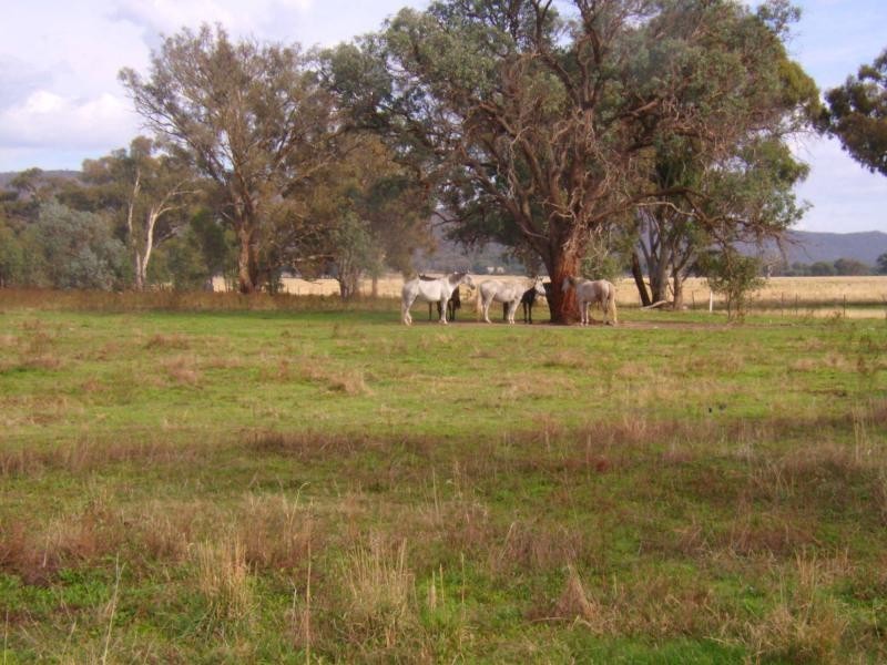 1051 Warby Range Road, Wangaratta VIC 3677