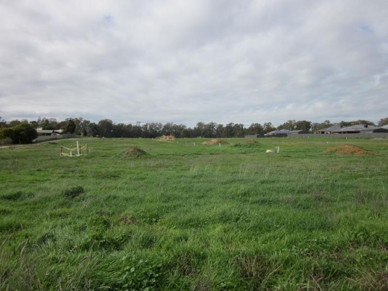 Wangaratta VIC 3677