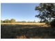 Wangaratta VIC 3677