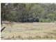Wangaratta VIC 3677