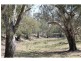 Wangaratta VIC 3677