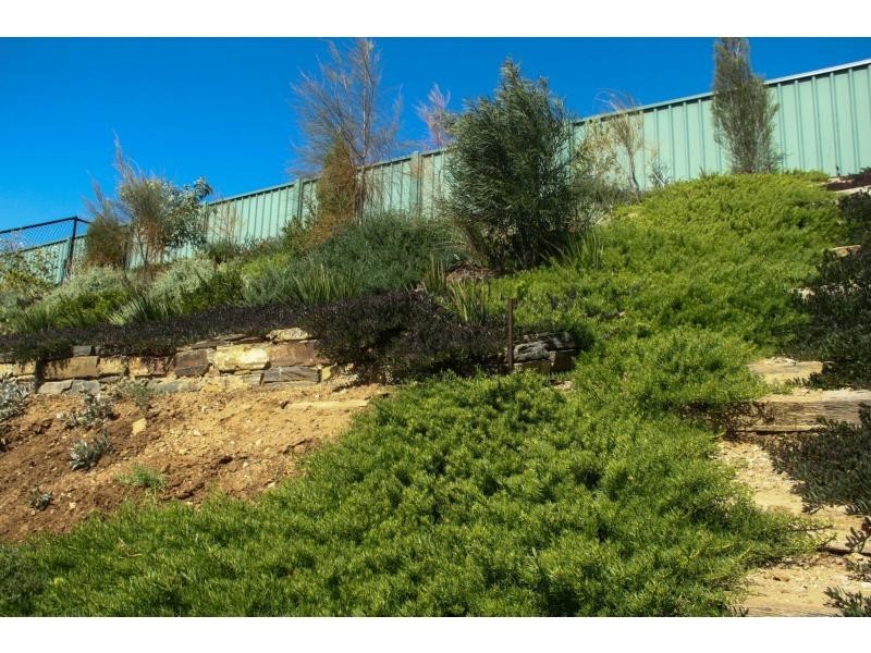 49 Hindmarsh Circuit, Mawson Lakes SA 5095