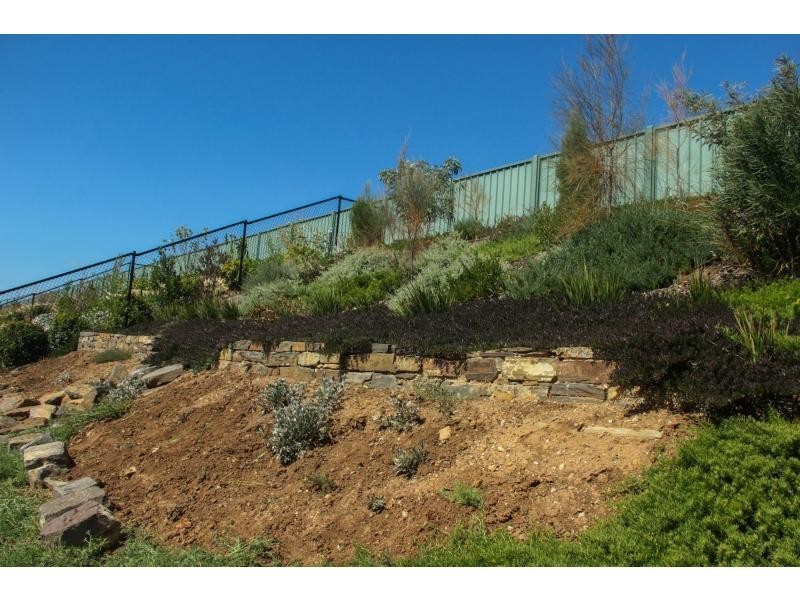 49 Hindmarsh Circuit, Mawson Lakes SA 5095