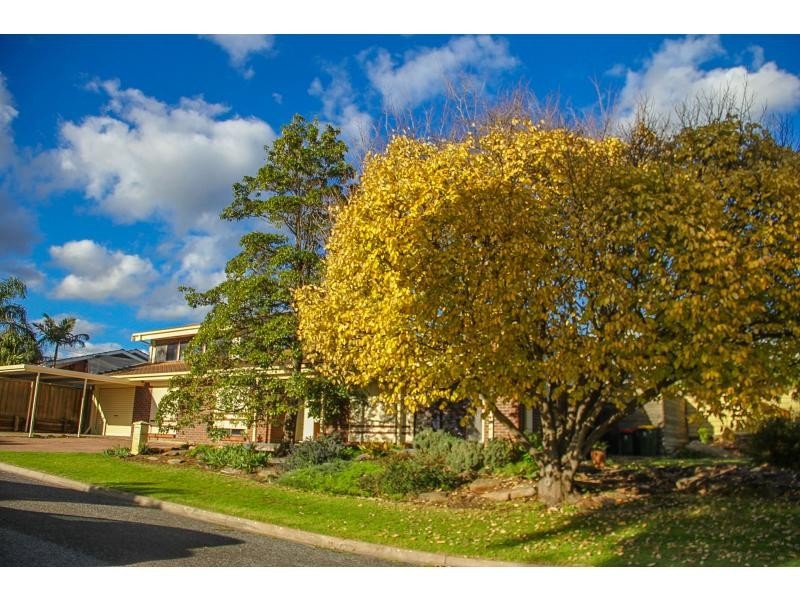 13 Cumberland Avenue, Para Hills SA 5096