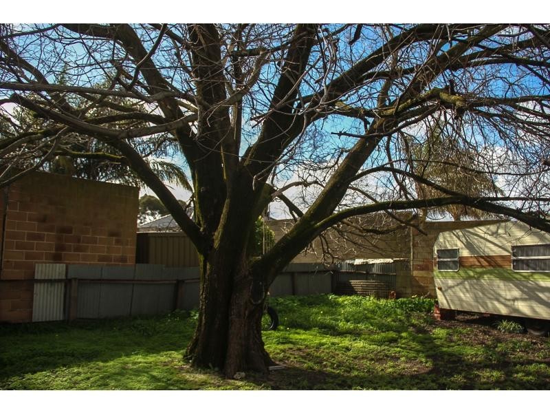 14 Birdwood Road, Greenacres SA 5086