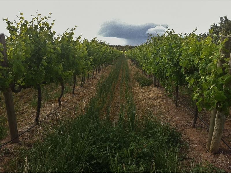 L400 Plains Road, Sellicks Hill SA 5174