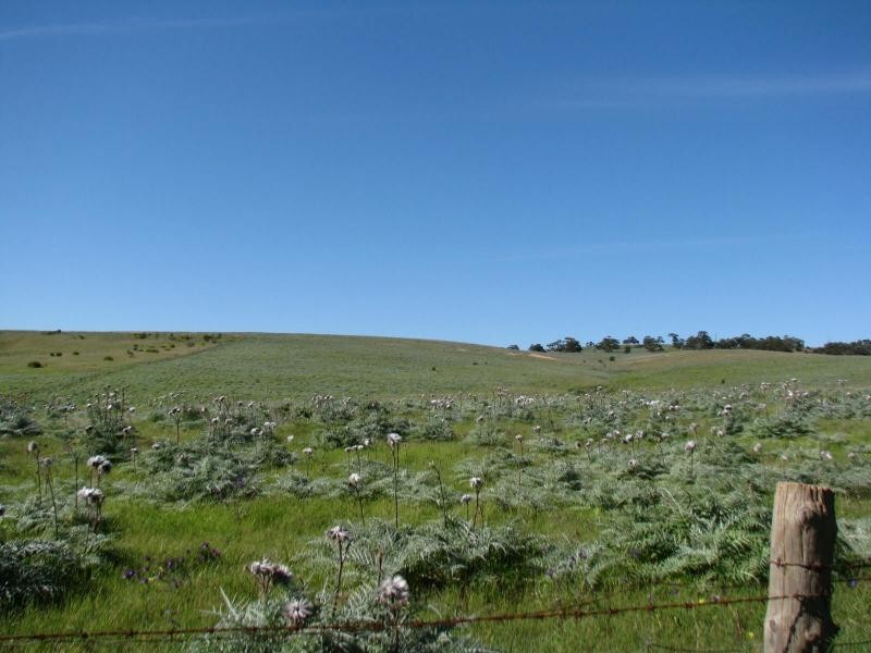 Lot 3 Whitford Road, The Rise, Hillbank SA 5112