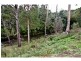 86 Crabtree Road, Grove TAS 7109