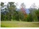 Bellingen NSW 2454