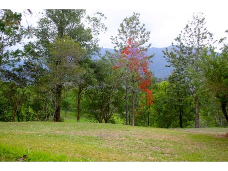 Bellingen NSW 2454