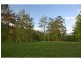 Bellingen NSW 2454