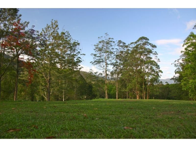 Bellingen NSW 2454
