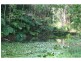 Bellingen NSW 2454