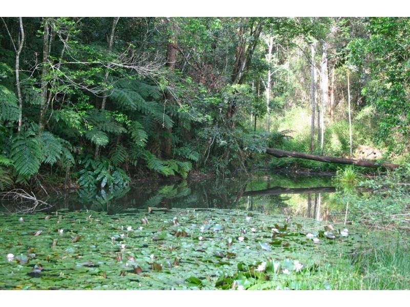 Bellingen NSW 2454
