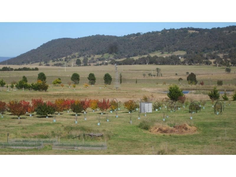 12 Mooneys Road, Currawang NSW 2580