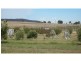 12 Mooneys Road, Currawang NSW 2580