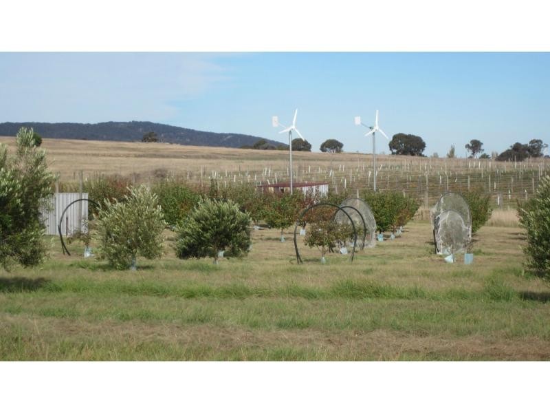 12 Mooneys Road, Currawang NSW 2580