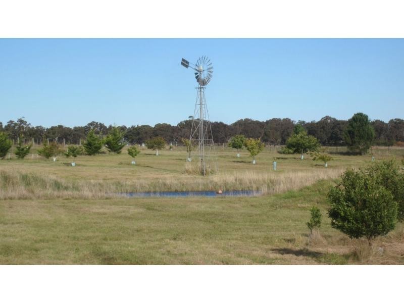 12 Mooneys Road, Currawang NSW 2580