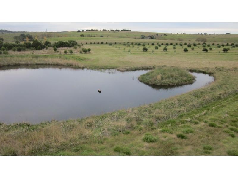 12 Mooneys Road, Currawang NSW 2580