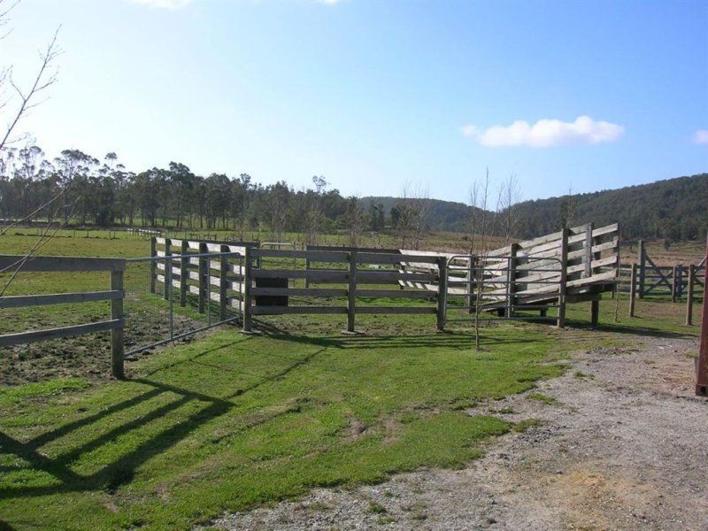 Launceston TAS 7250