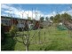 29 Inkerman Street, Triabunna TAS 7190