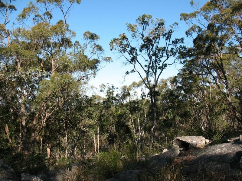 L18 Hopgoods Road, Elbow Valley QLD 4370