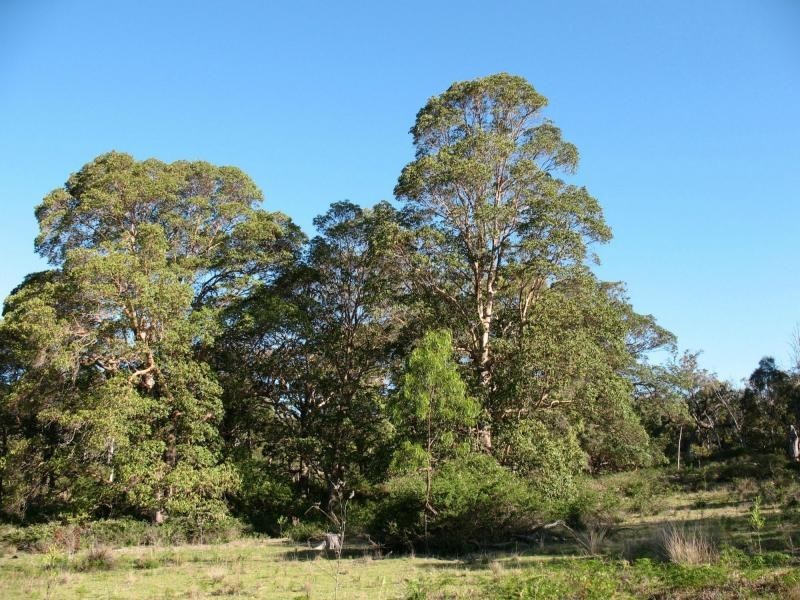 Killarney QLD 4373