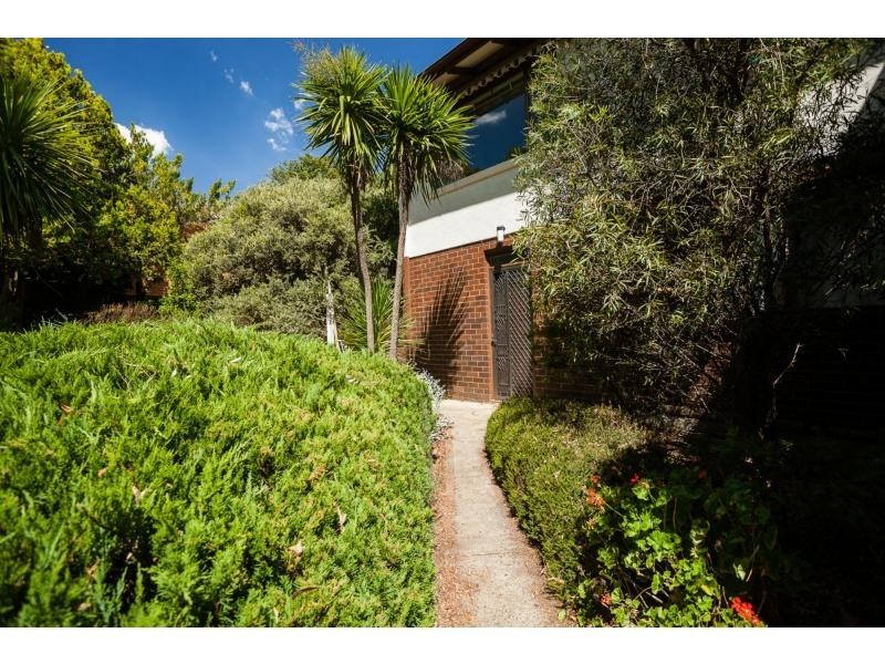 56 Skinner Street, Cook ACT 2614