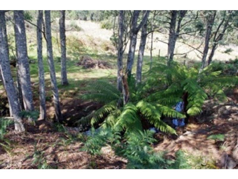 685 Pelverta Road, Kaoota TAS 7150