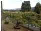 9002 Channel Highway, Huonville TAS 7109