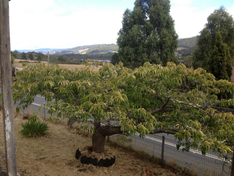 9002 Channel Highway, Huonville TAS 7109