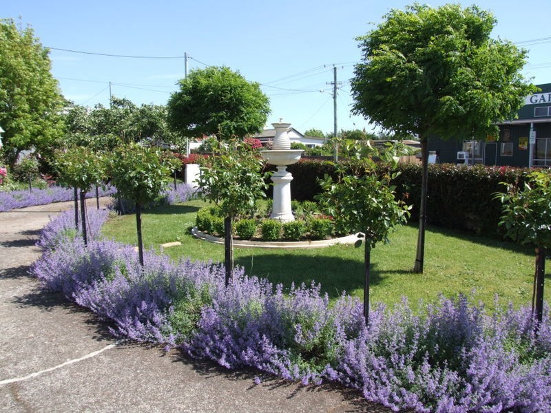 56 Main Street, Ringarooma TAS 7263