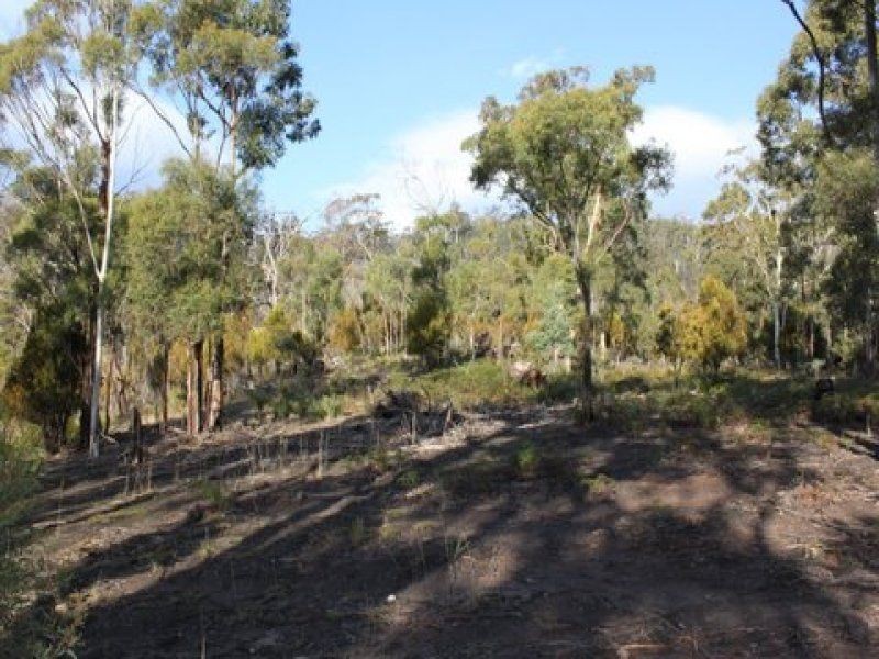 469 Glen Dhu Road, Molesworth TAS 7140