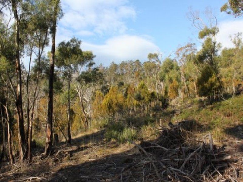 469 Glen Dhu Road, Molesworth TAS 7140