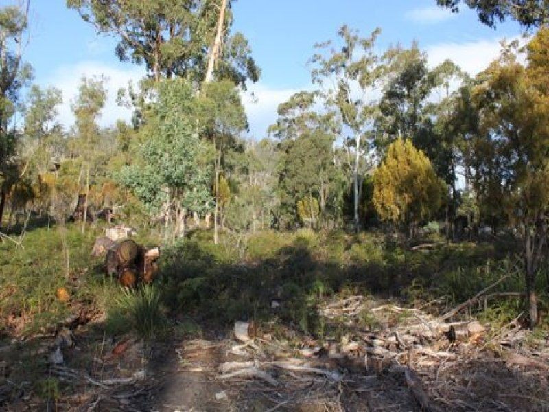 469 Glen Dhu Road, Molesworth TAS 7140