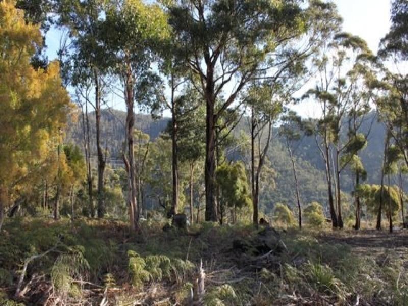 469 Glen Dhu Road, Molesworth TAS 7140