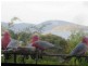 30 Myrica Street, Primrose Sands TAS 7173