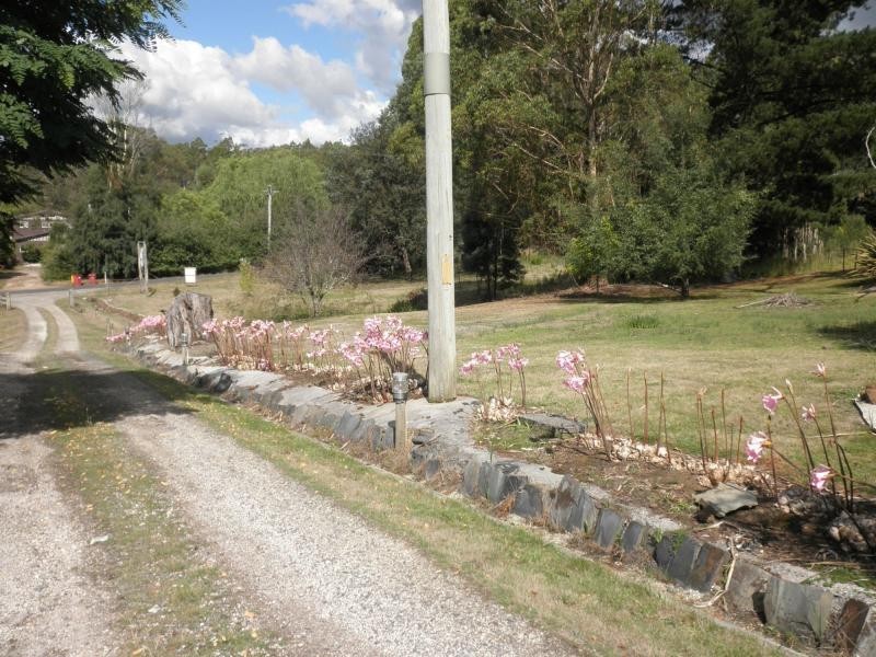 97 Underwood Road, Underwood TAS 7268