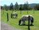 Nana Glen NSW 2450