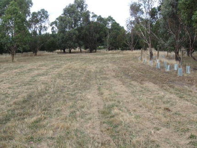 65a Kelson Place, Acton Park TAS 7170