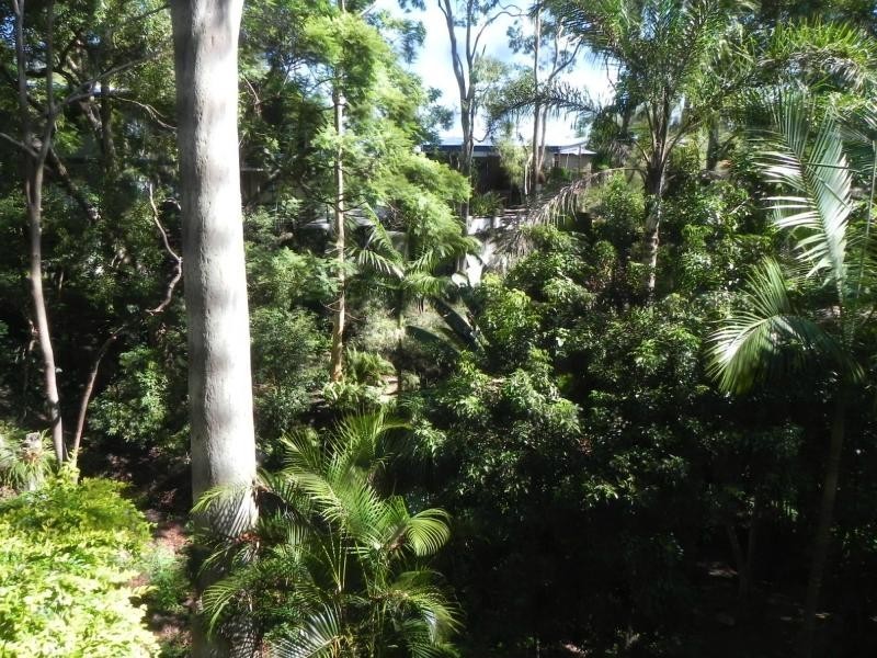 134 Plucks Road, Arana Hills QLD 4054