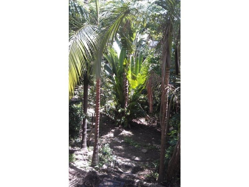 134 Plucks Road, Arana Hills QLD 4054