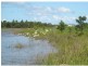 North Lakes QLD 4509
